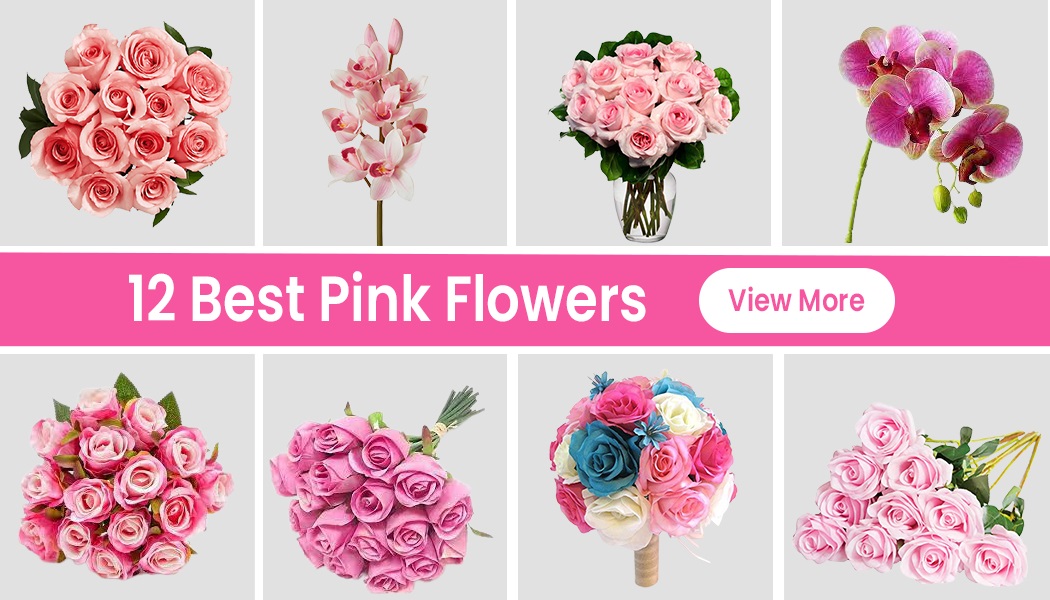 12 Cute Pink Flowers To Gift Someone Special